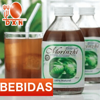 Bebidas